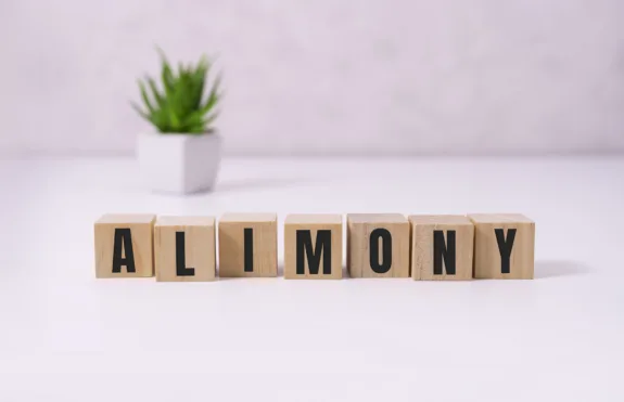 ALIMONY word made with building blocks on white.